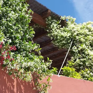 https://gato-preto-de-silves.hotelaalgarve.com